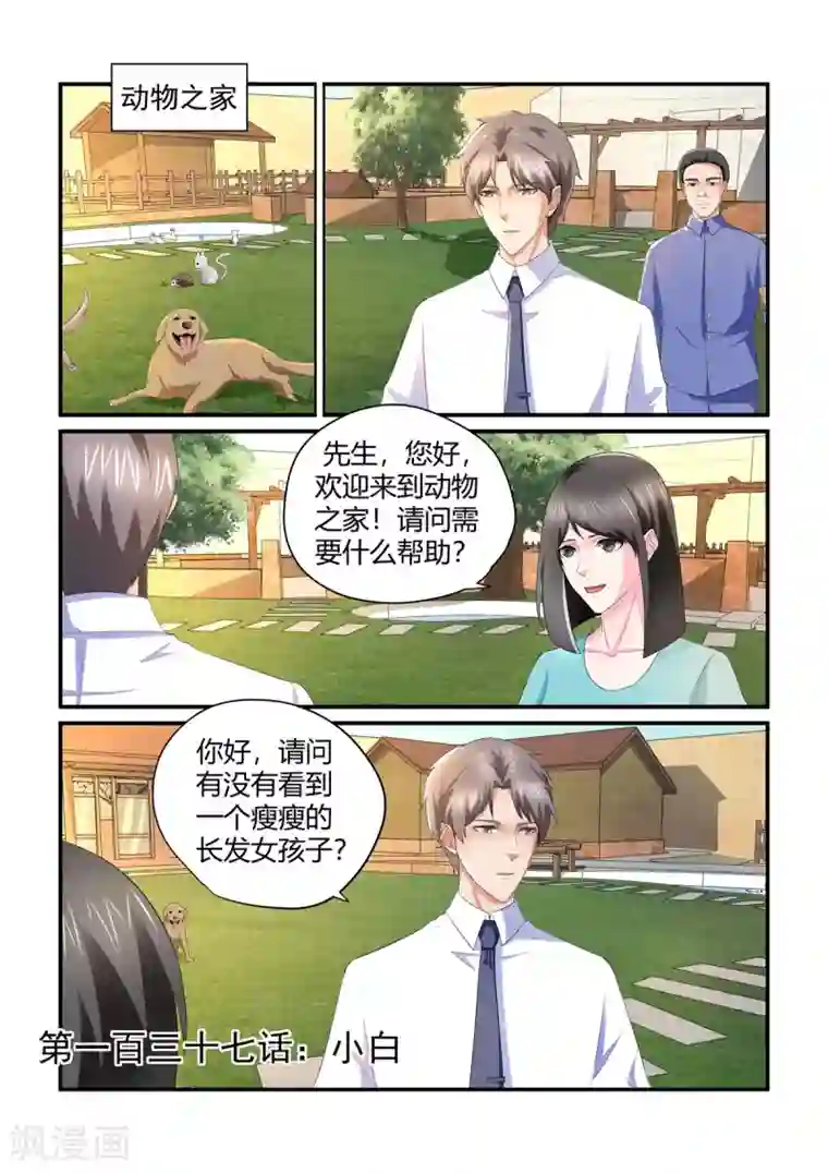 无效婚约：前妻要改嫁第137话 小白