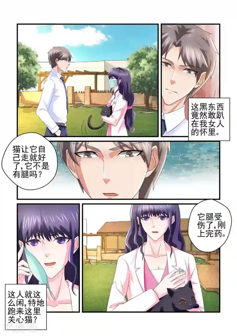 无效婚约：前妻要改嫁第137话 小白