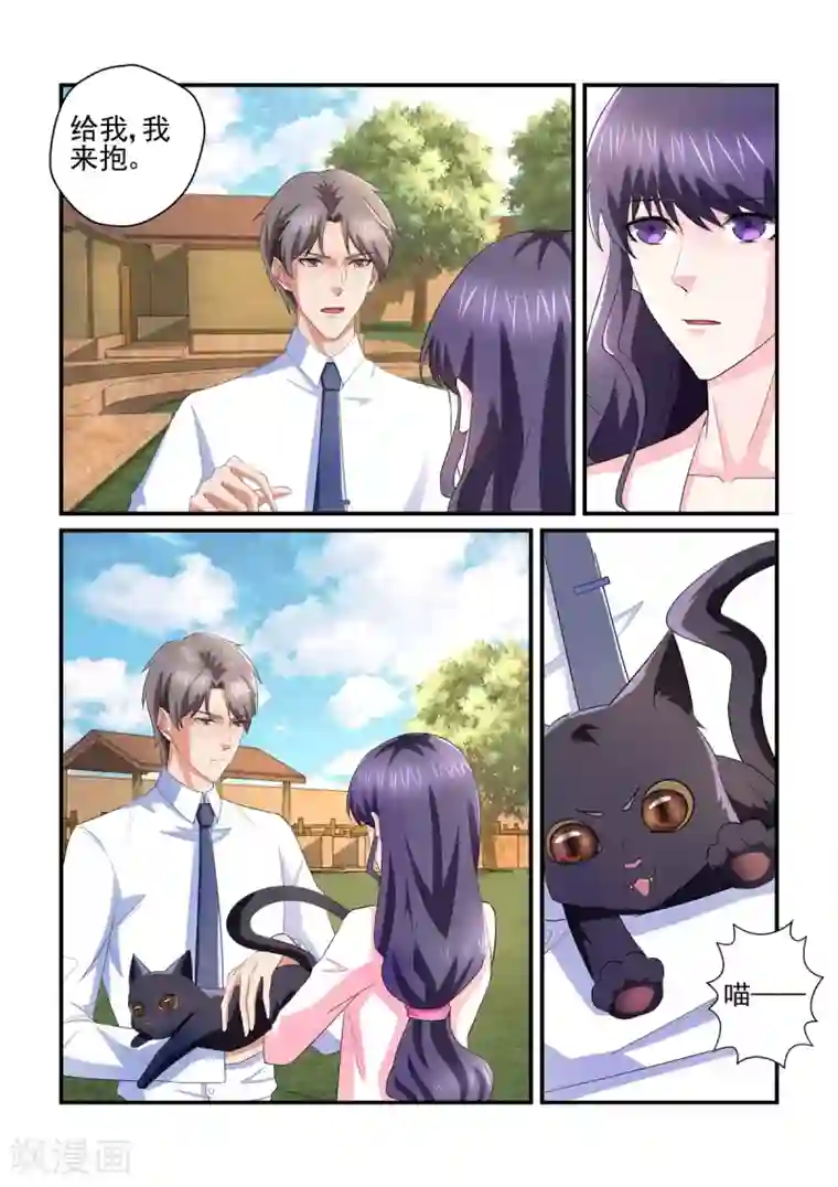 无效婚约：前妻要改嫁第137话 小白