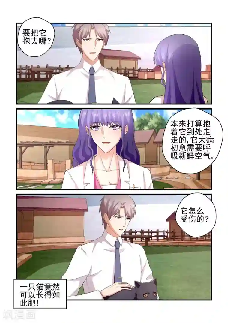 无效婚约：前妻要改嫁第137话 小白