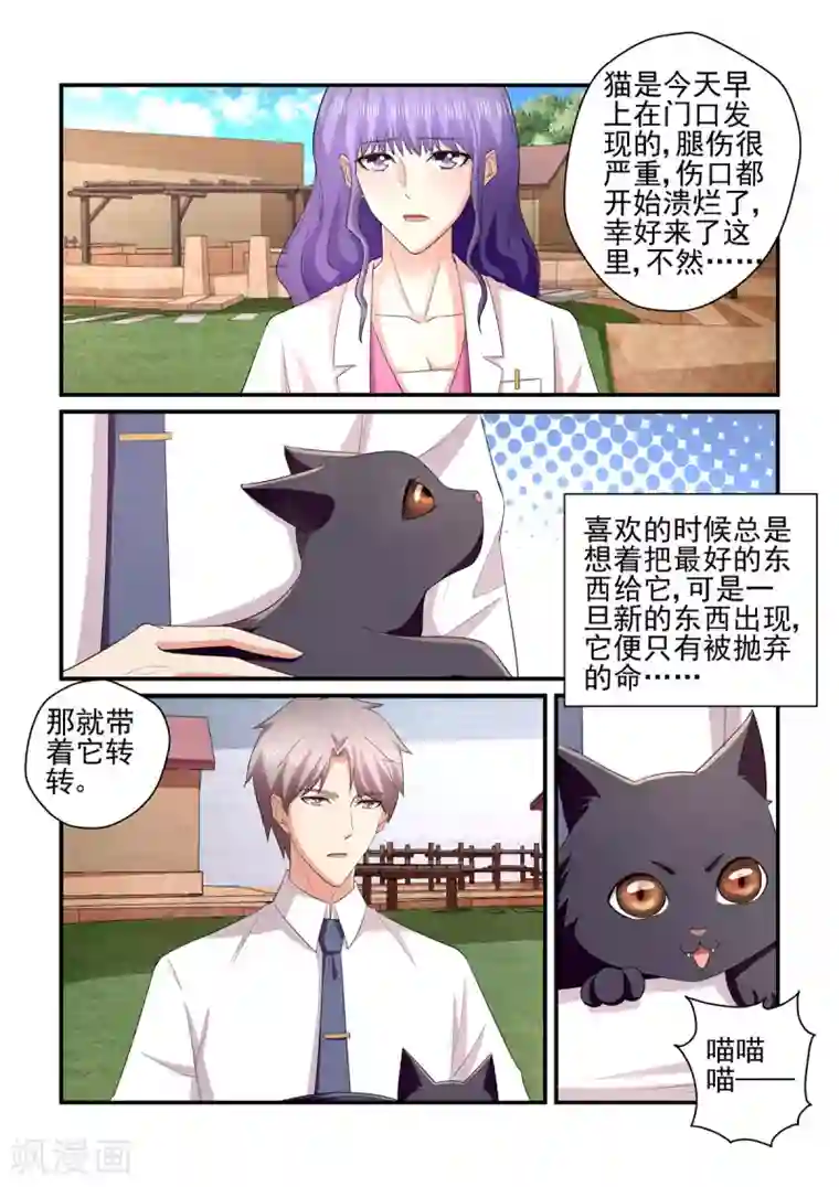 无效婚约：前妻要改嫁第137话 小白