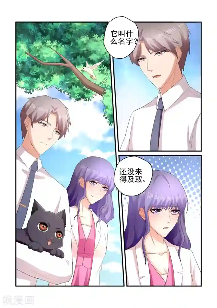 无效婚约：前妻要改嫁第137话 小白