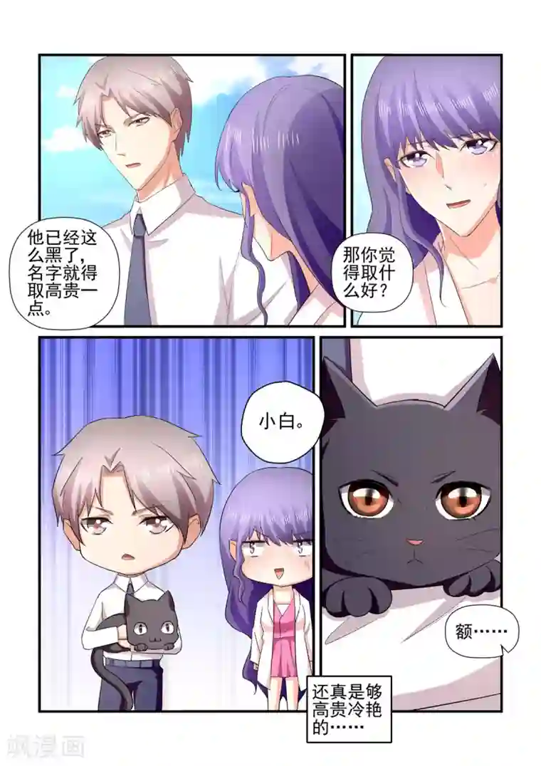 无效婚约：前妻要改嫁第137话 小白