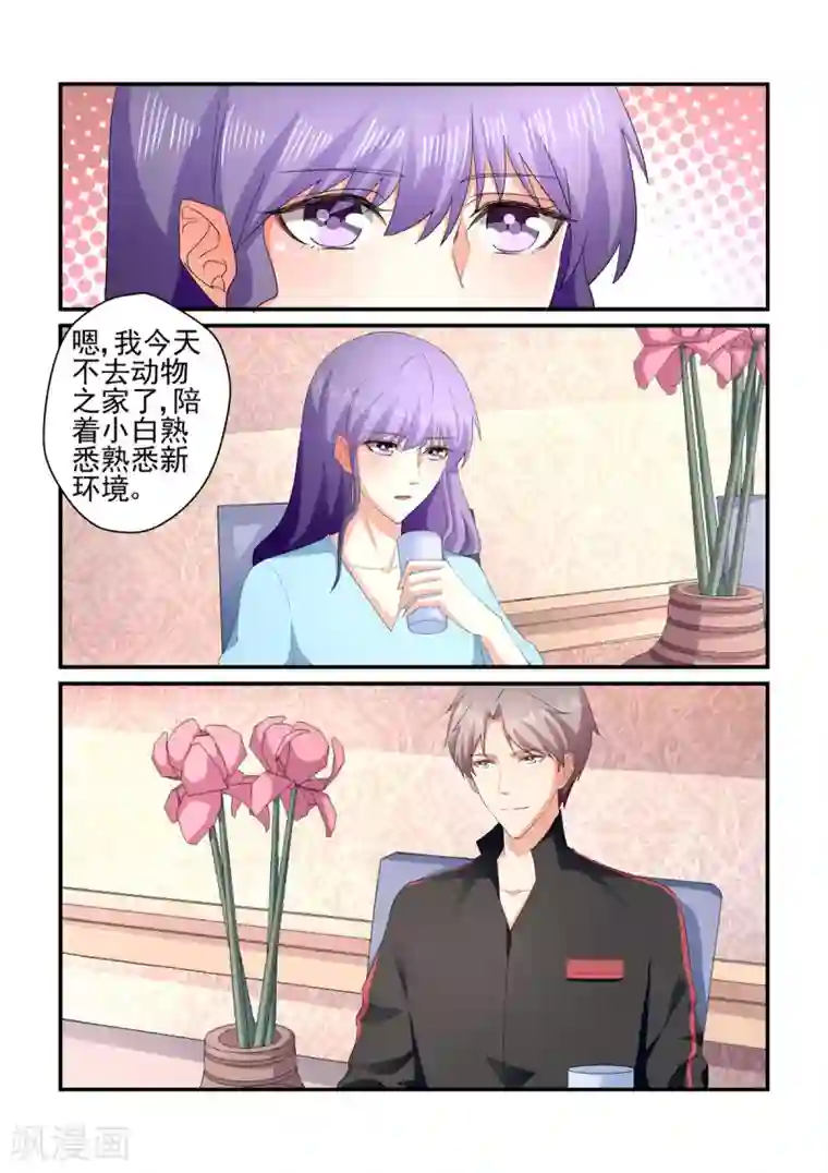 无效婚约：前妻要改嫁第139话 想不到被嫌弃了