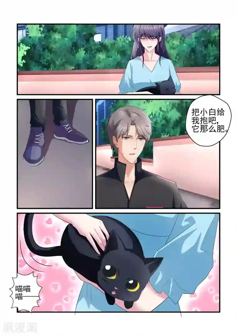 无效婚约：前妻要改嫁第139话 想不到被嫌弃了
