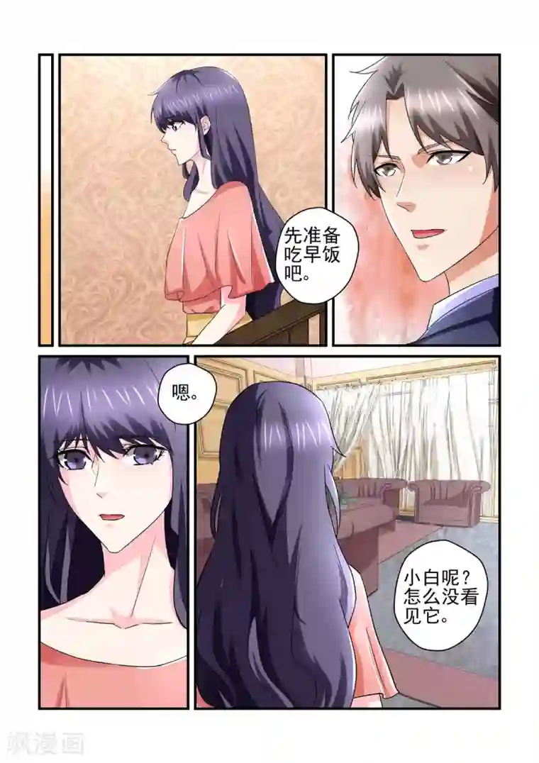 无效婚约：前妻要改嫁第141话 度假