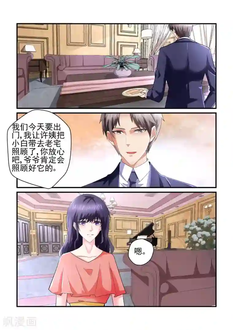 无效婚约：前妻要改嫁第141话 度假