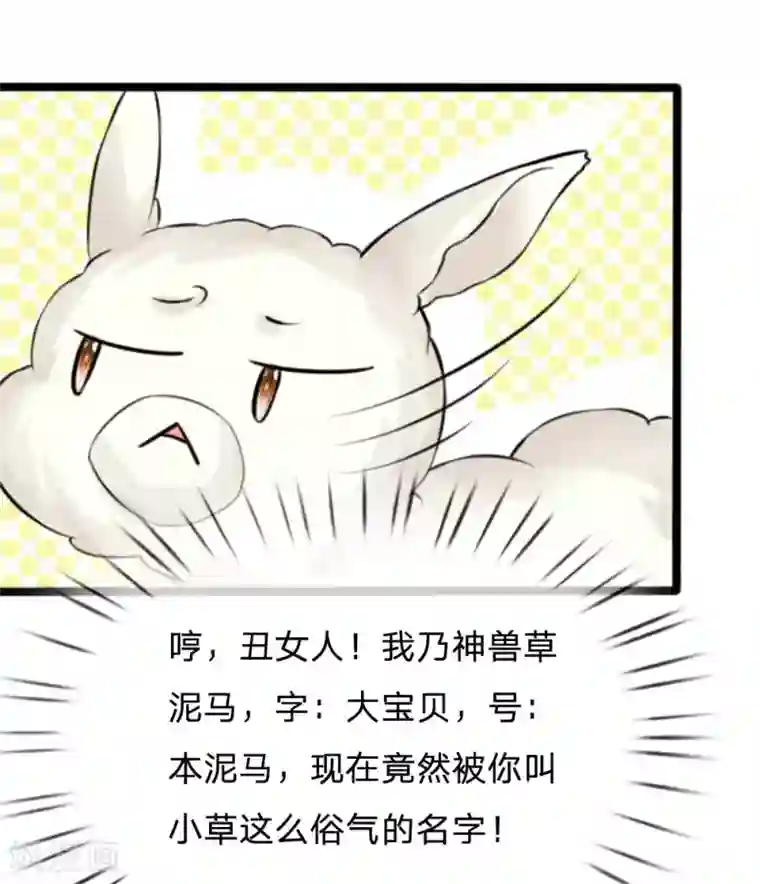 朕的丑姑娘第24话 里面都是肉！