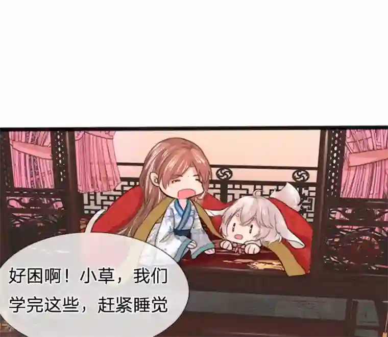 朕的丑姑娘第40话 神招令