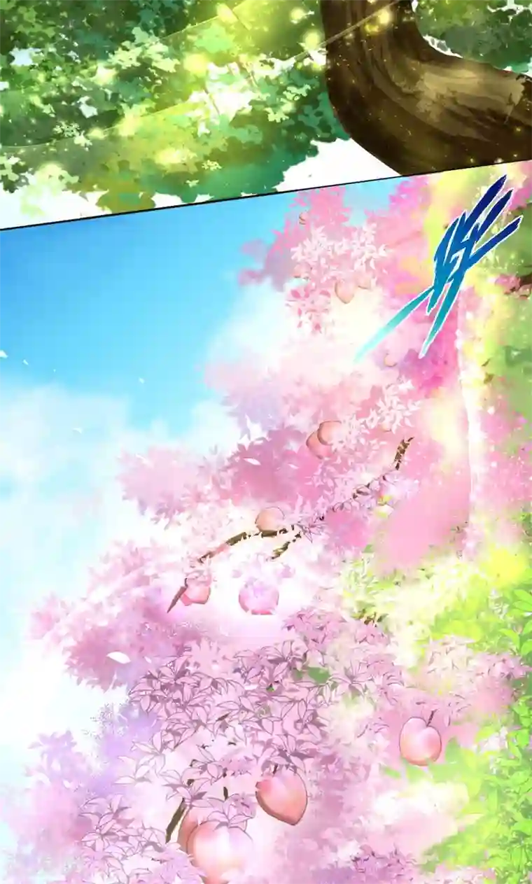 封魔战国第19话