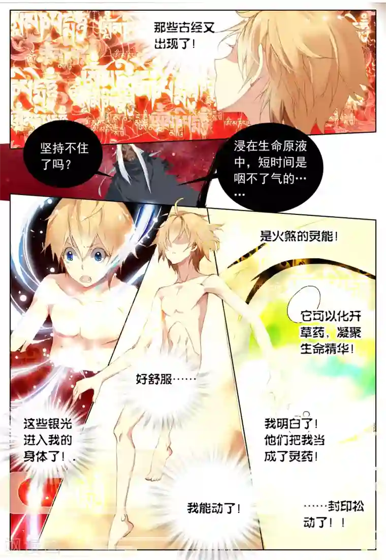 遮天第112话 涅槃2