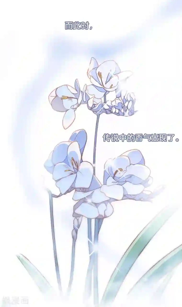 1st Kiss第17话 因爱而生