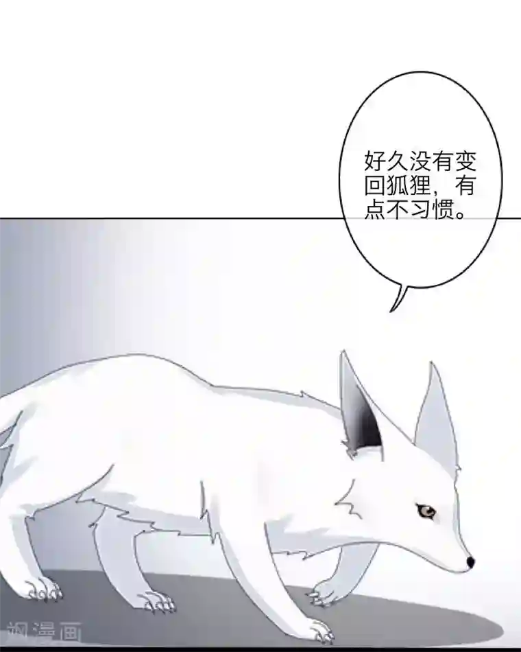 九尾冥恋第6话 离开