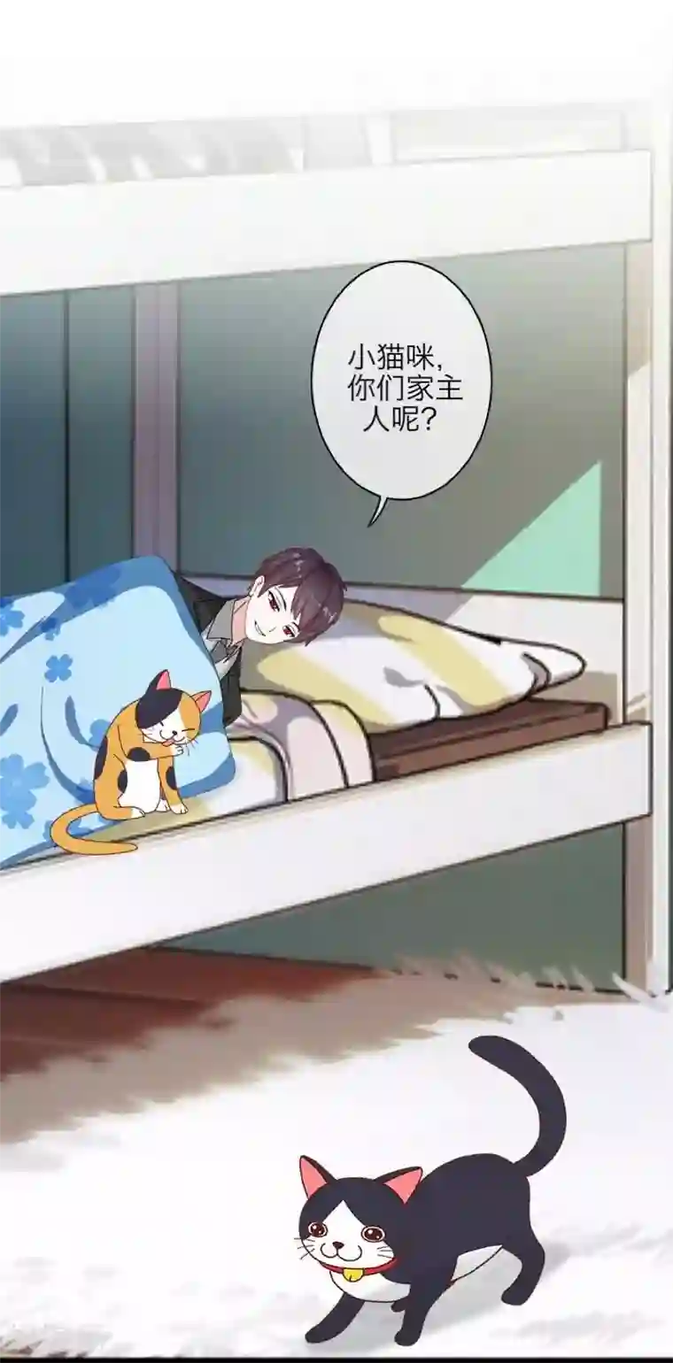 九尾冥恋第46话 友谊