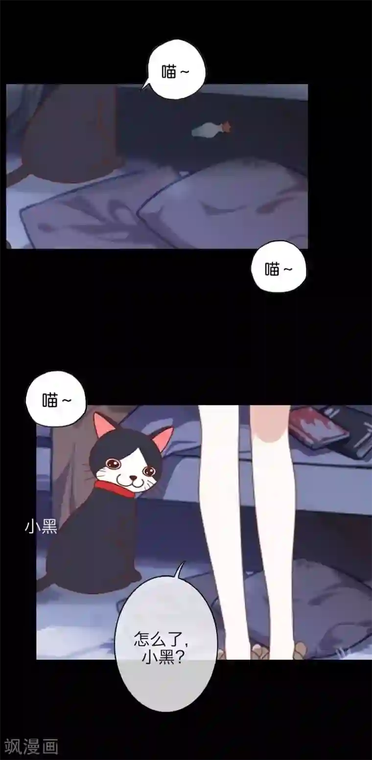 九尾冥恋第56话 只爱你一人