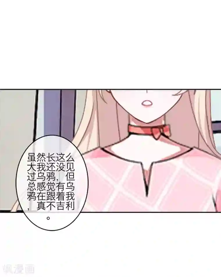 九尾冥恋第79话 黑色翎羽