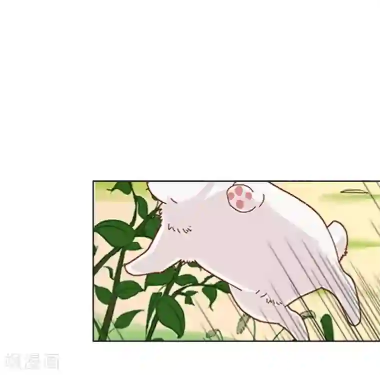 九尾冥恋第80话 厌恶