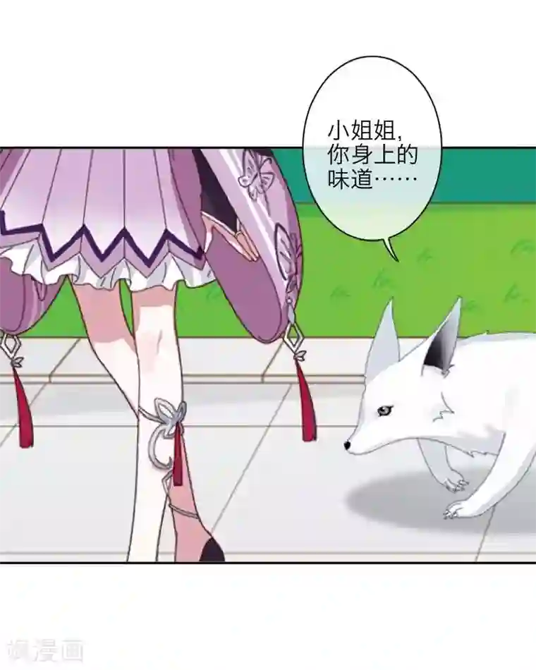 九尾冥恋第105话 婚礼