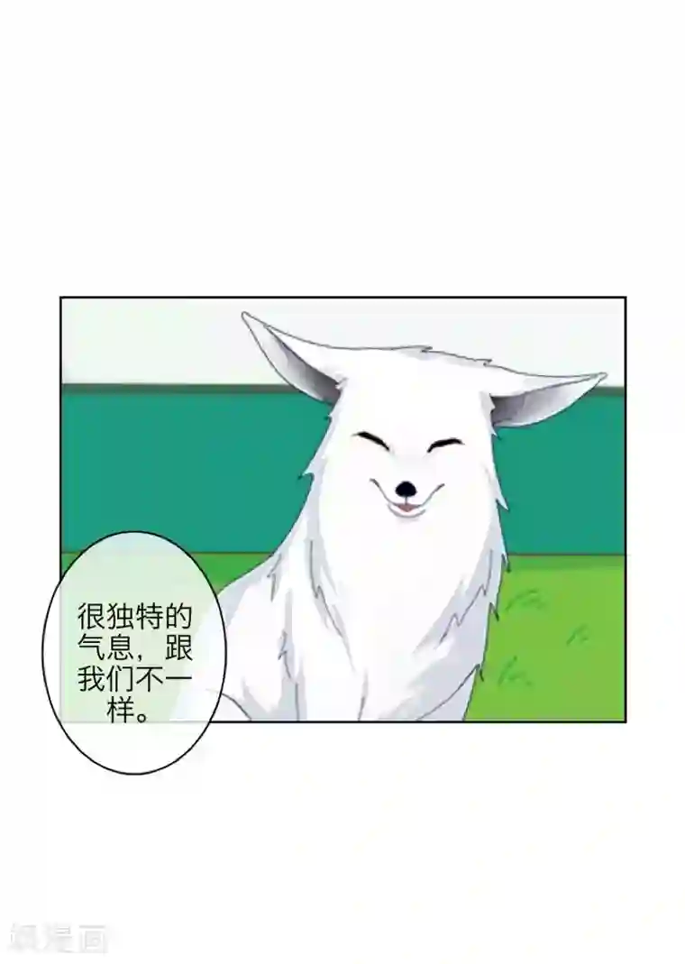 九尾冥恋第105话 婚礼