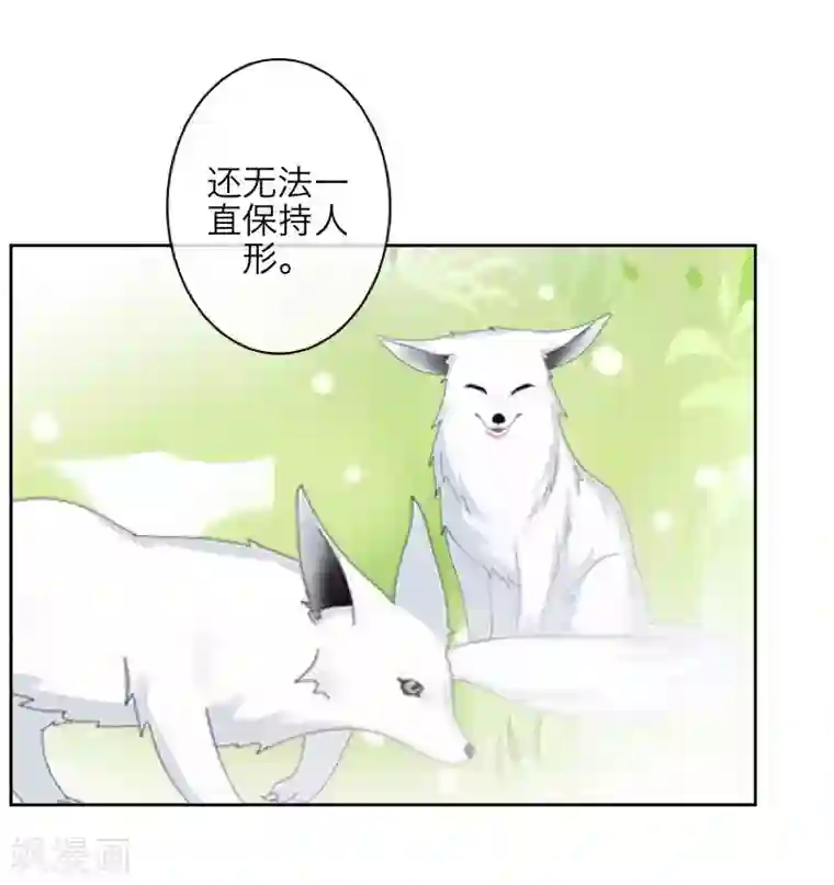 九尾冥恋最终话 倾溪