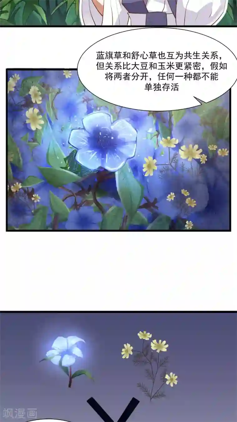 女神养成计划第16话 意外的重逢！