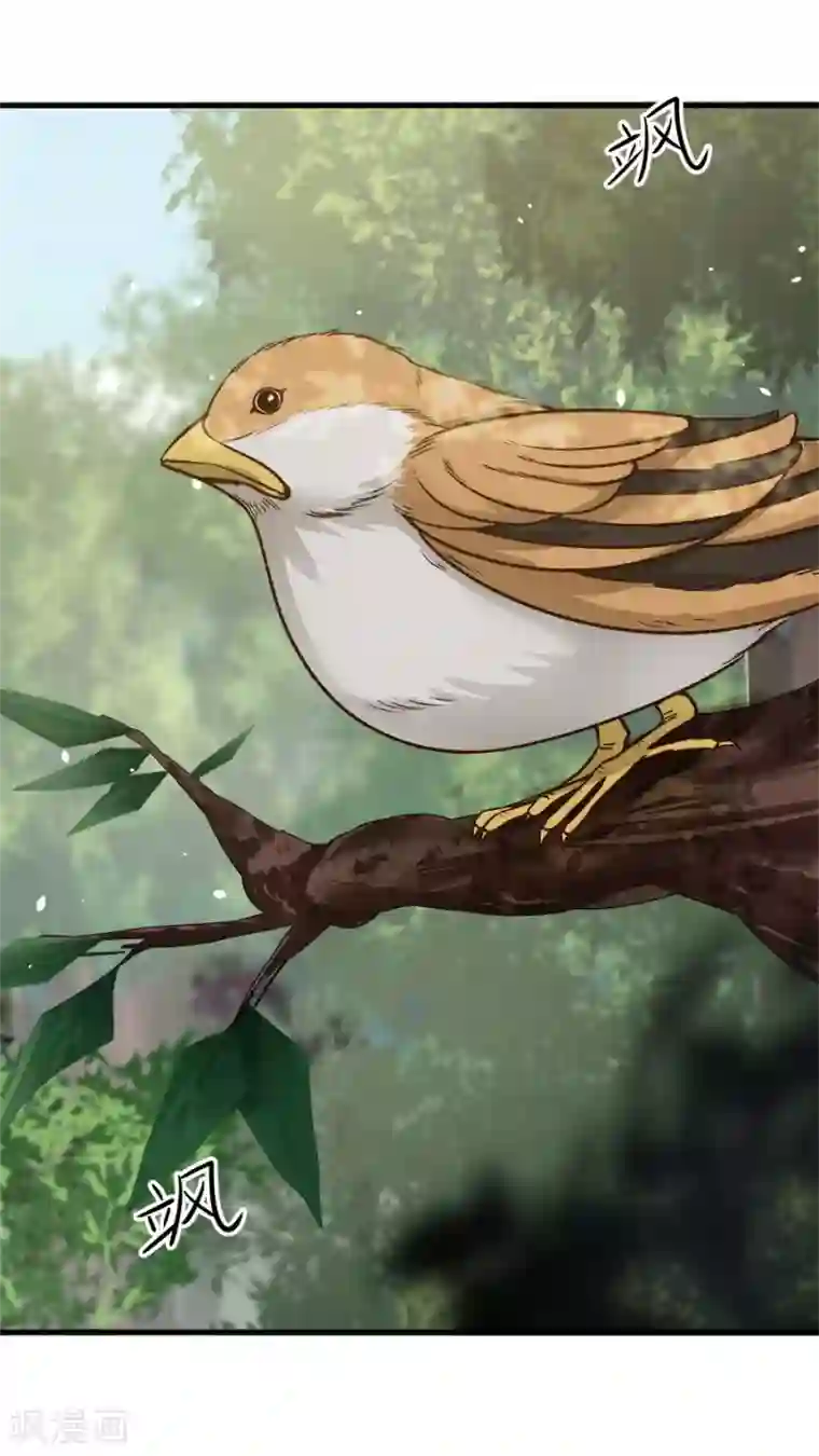 女神养成计划第32话 六年后的重逢！