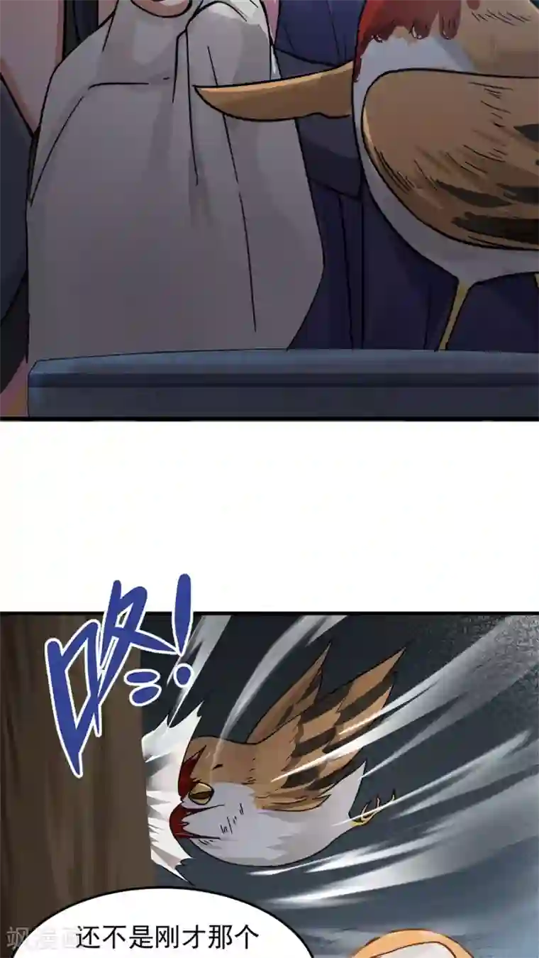 女神养成计划第35话 动物总动员！