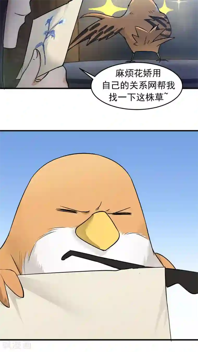 女神养成计划第35话 动物总动员！