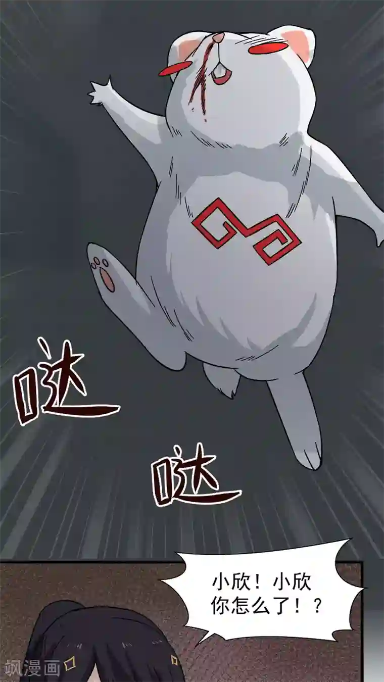 女神养成计划第35话 动物总动员！