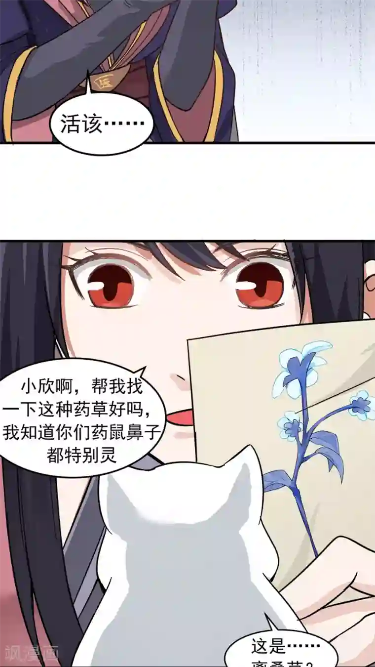 女神养成计划第35话 动物总动员！