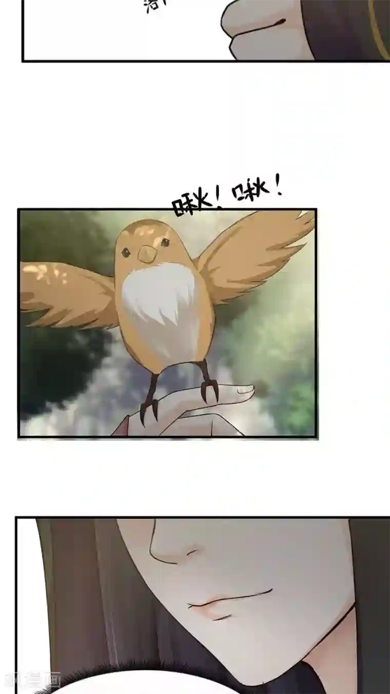 女神养成计划第36话 蒙面人，从天而降！