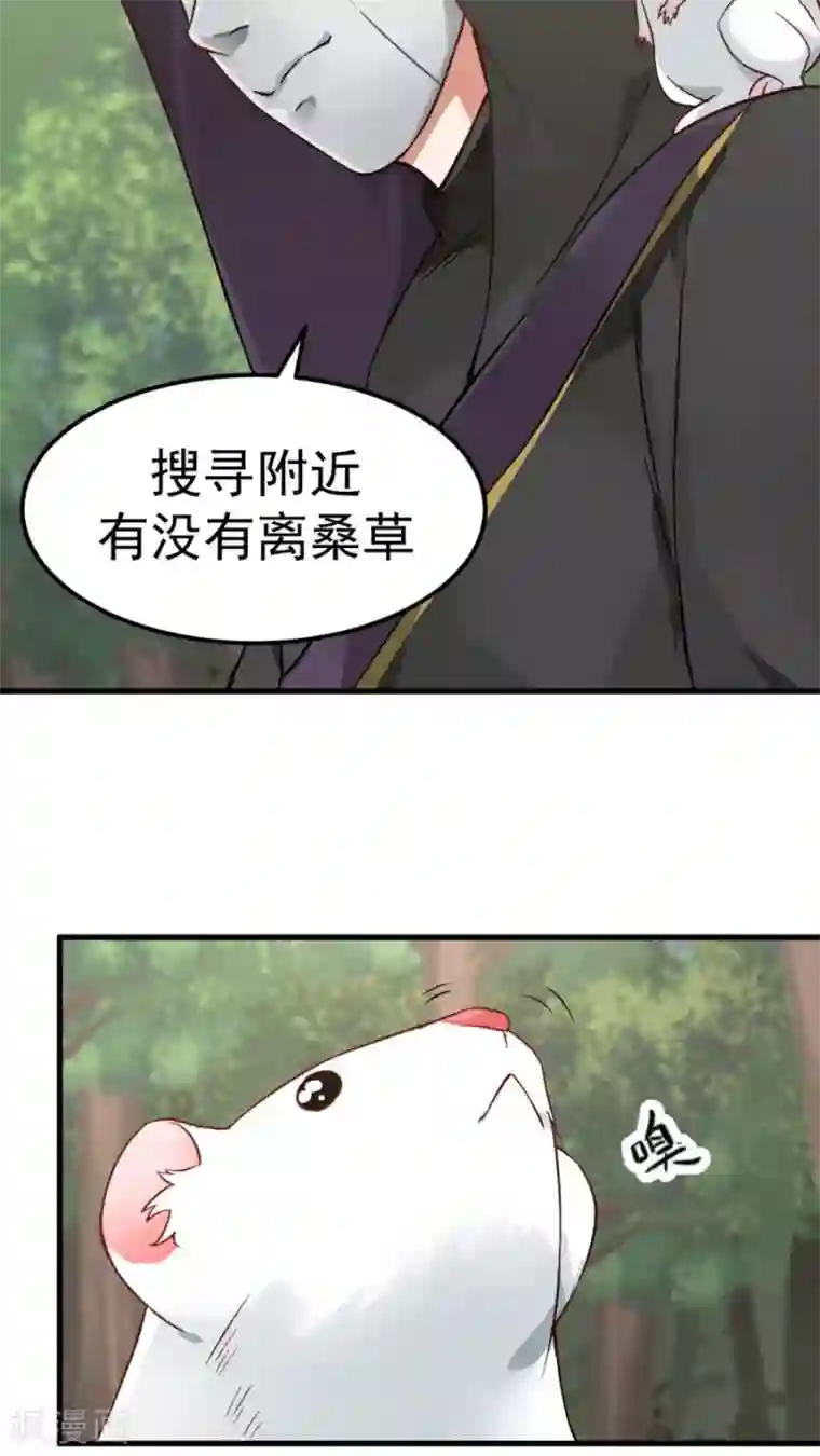 女神养成计划第37话 熟悉的味道！