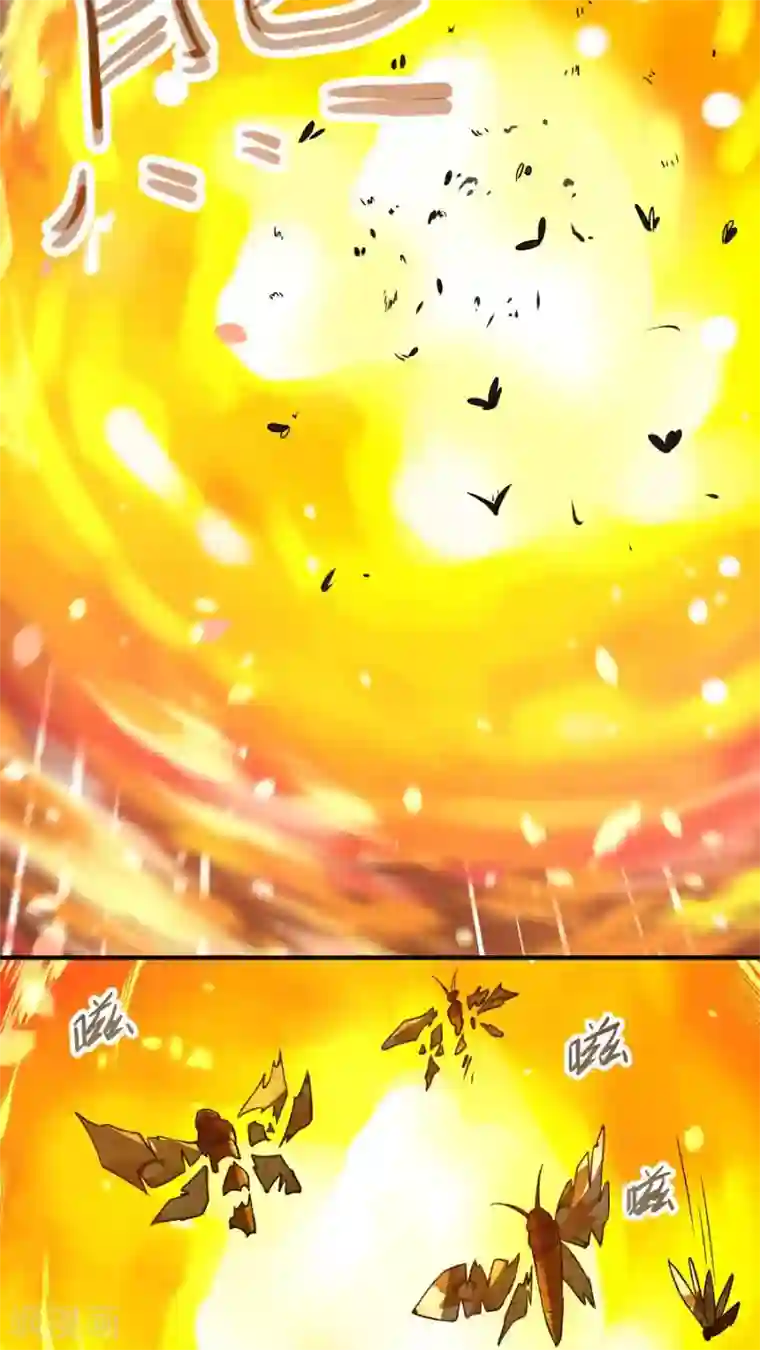 女神养成计划第38话 金腹蛾！