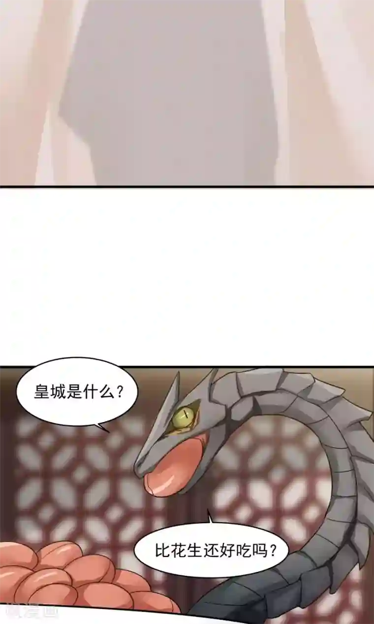 女神养成计划第47话 跟我一起回皇城！