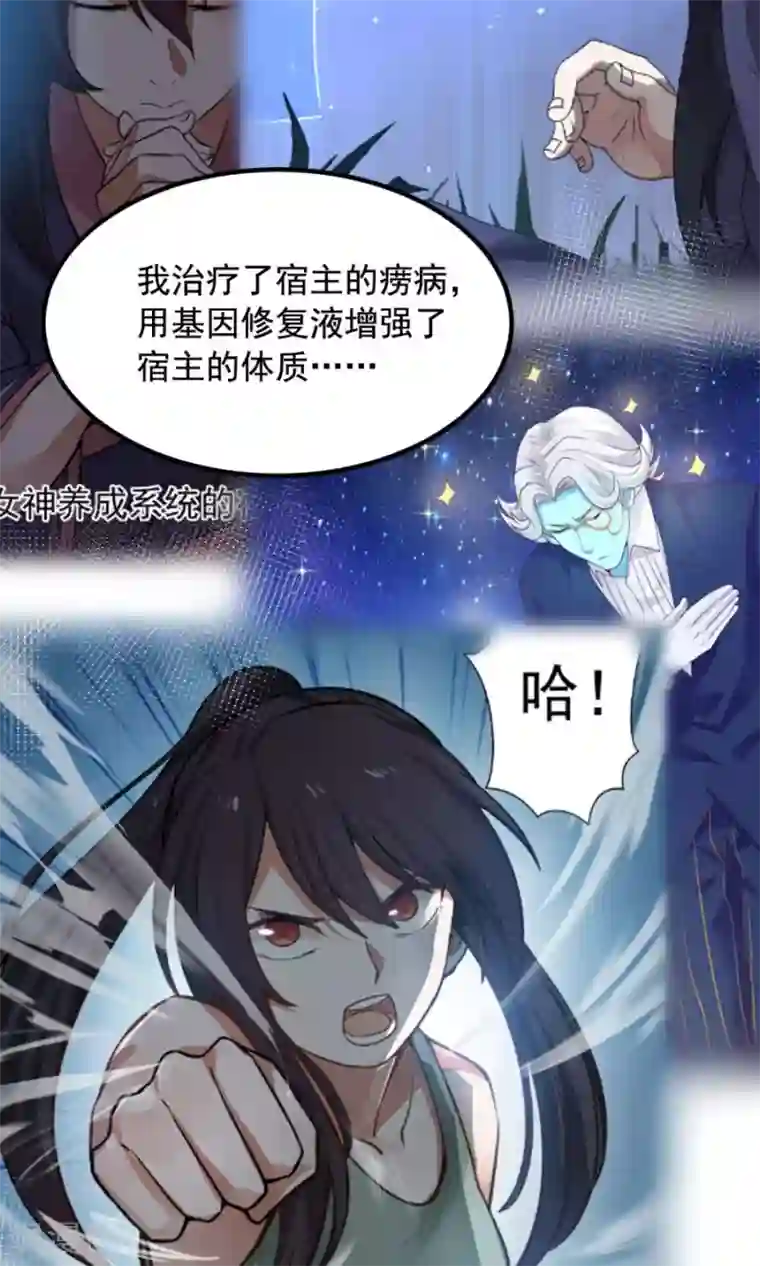 女神养成计划番外3 一切的开始