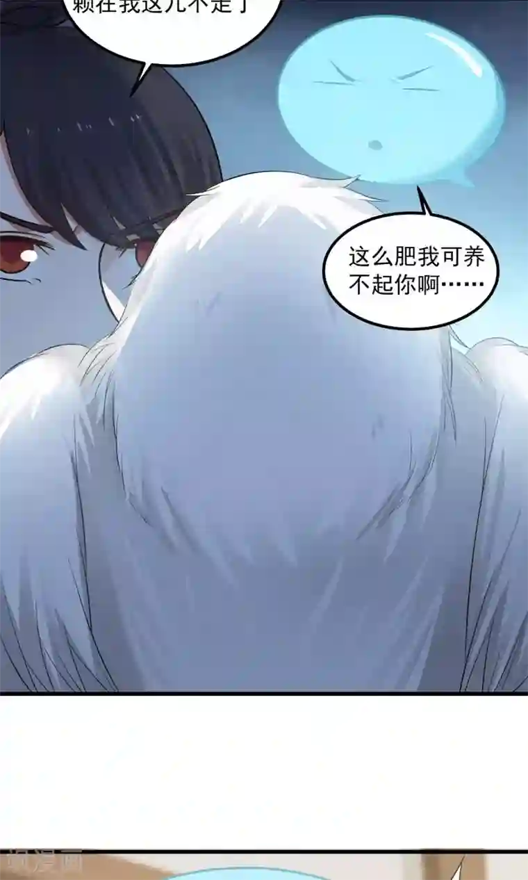 女神养成计划第90话 肥鸽传书？！