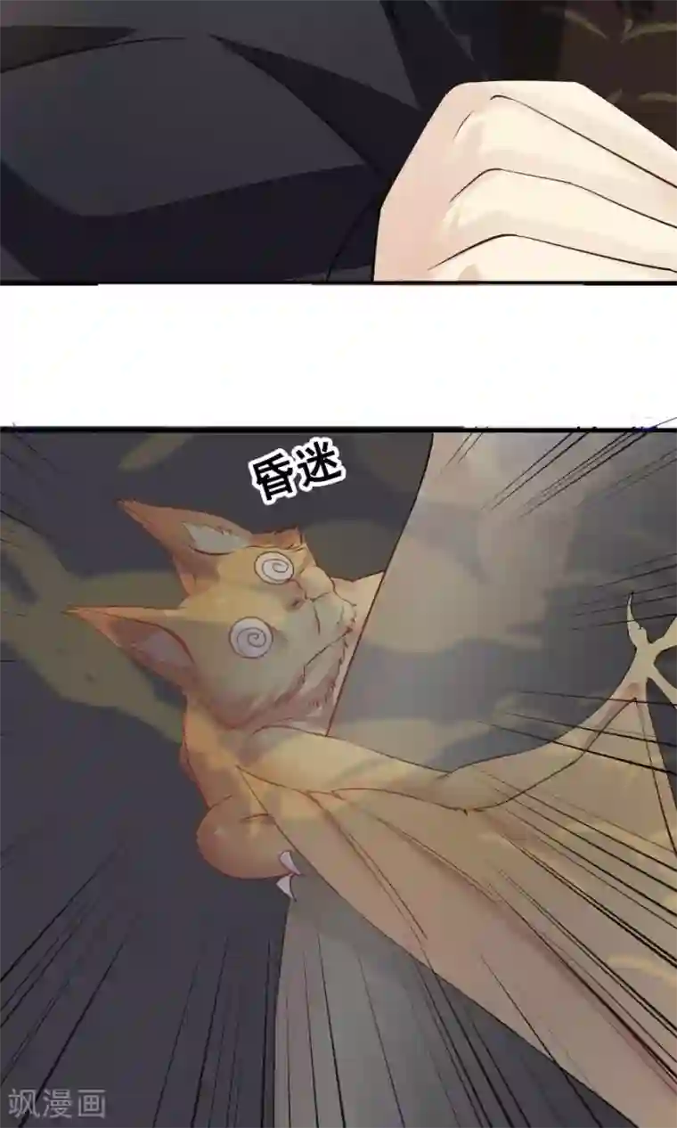 女神养成计划第90话 肥鸽传书？！