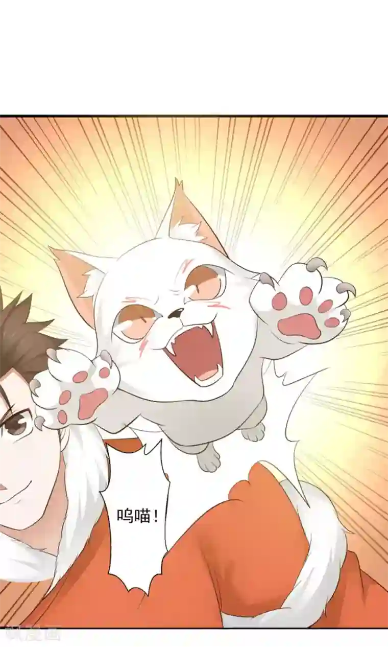 女神养成计划第100话 猫爪攻击！