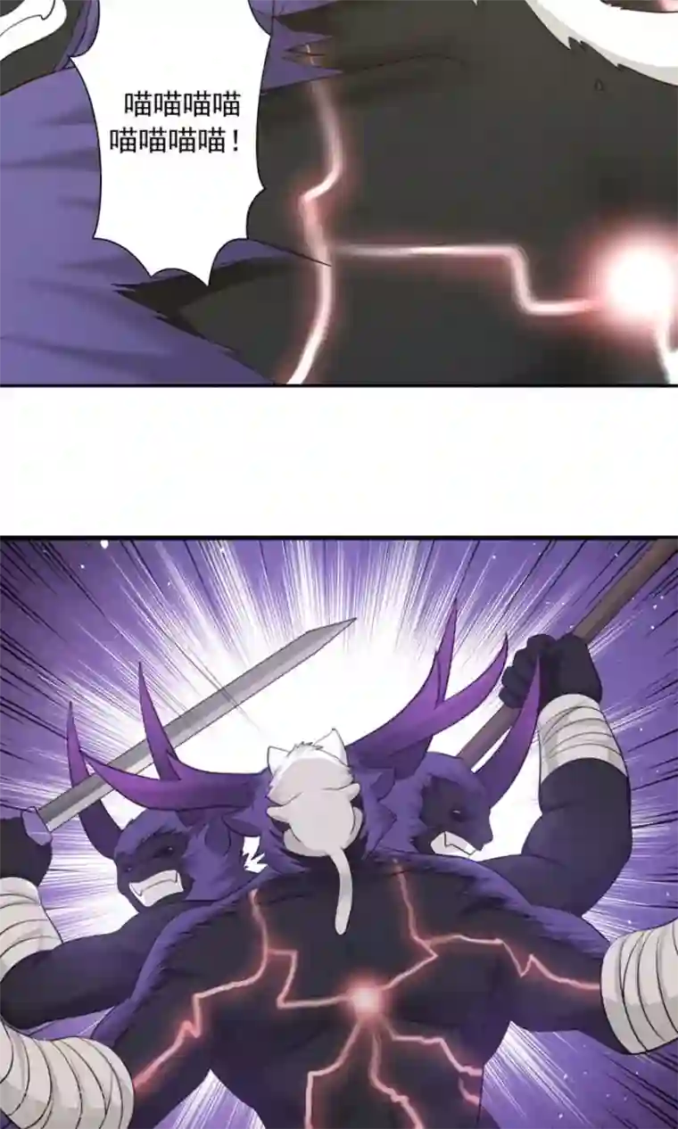 女神养成计划第100话 猫爪攻击！