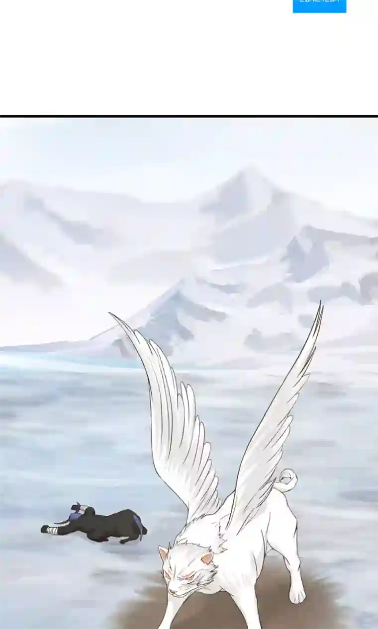 女神养成计划第102话 龙虎斗！