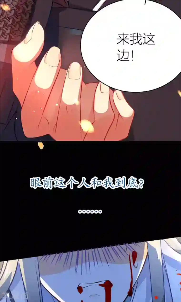 绿帽小神仙预告