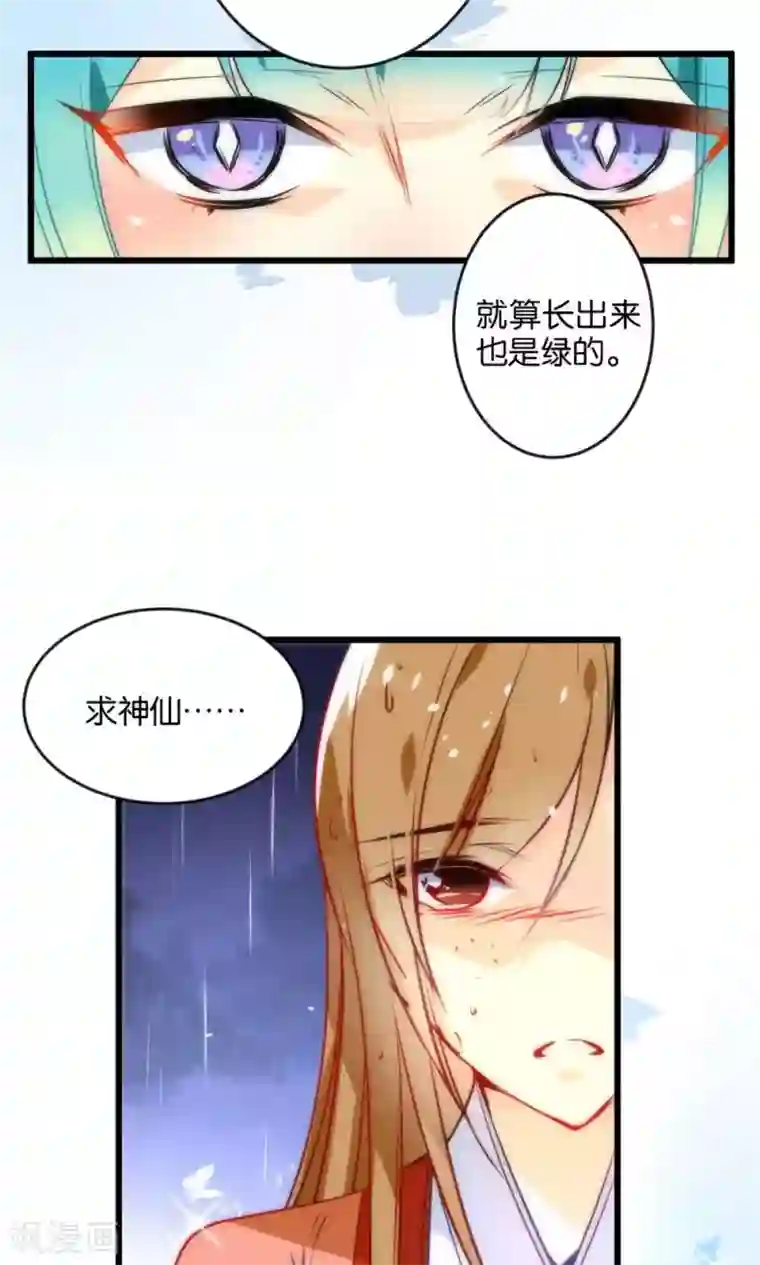 绿帽小神仙第1话 绿帽仙喜断姻缘