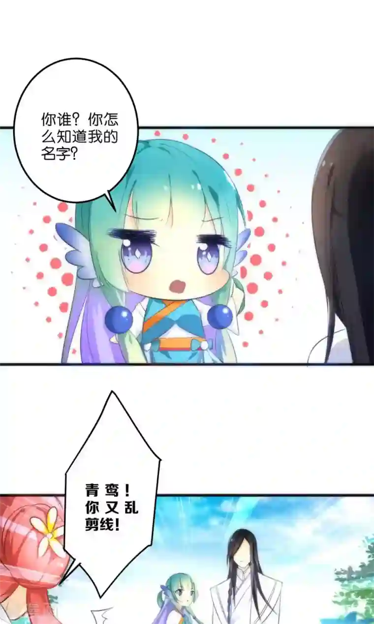 绿帽小神仙第2话 南辰大神的姻缘线