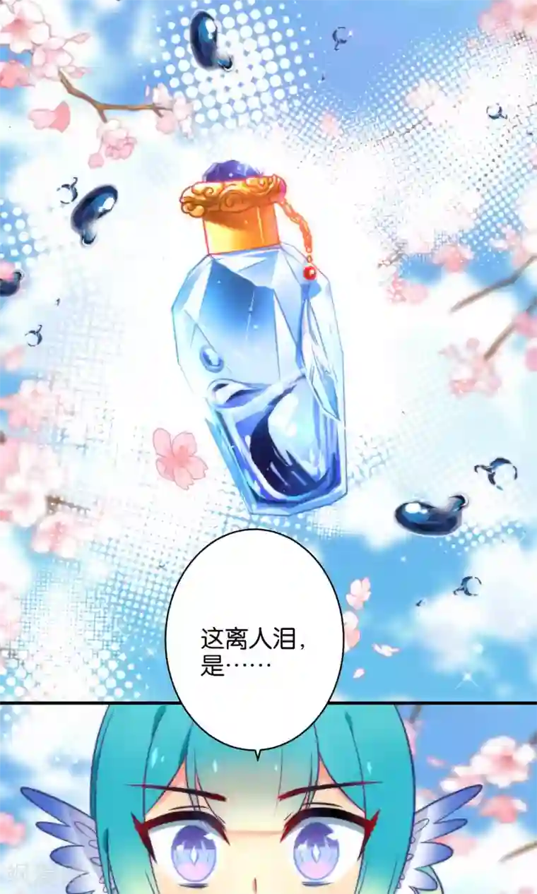 绿帽小神仙第9话 离人泪