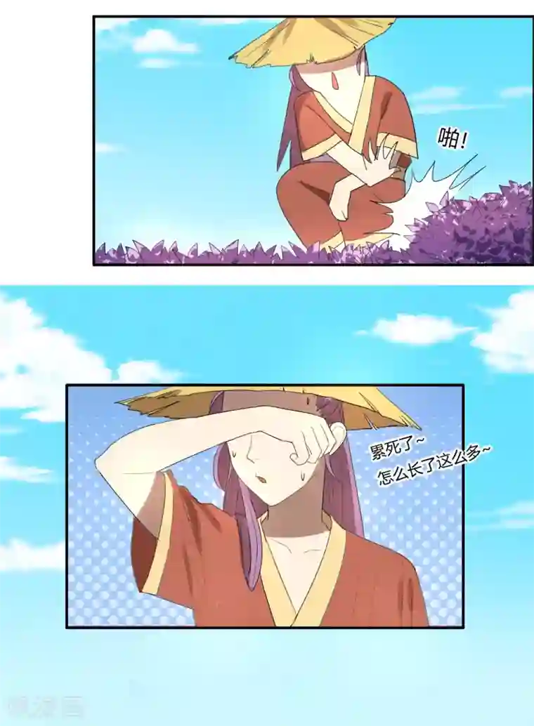 陛下！热点蹭不蹭第21话 太子农民本质暴露无遗