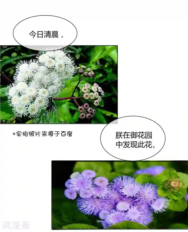 陛下！热点蹭不蹭第26话 人模狗样的太子