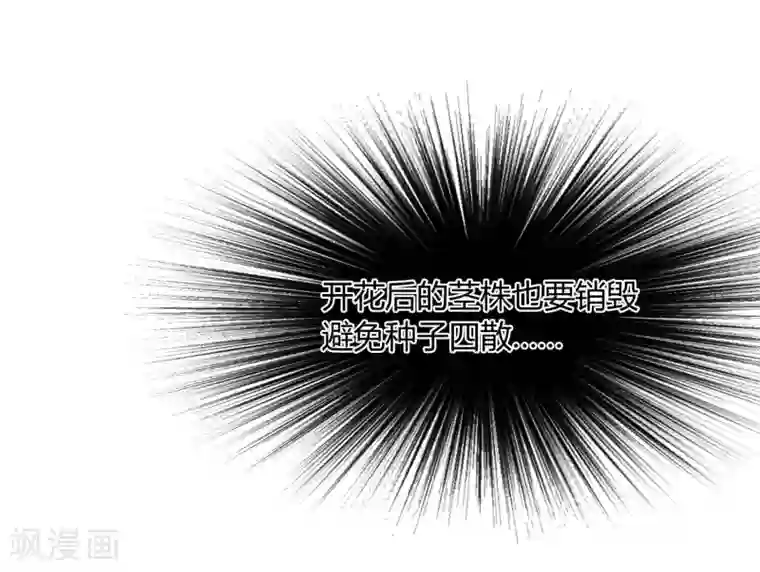 陛下！热点蹭不蹭第32话 太子的天赋