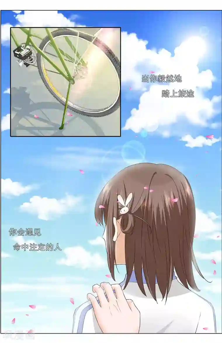 浅夏初雨预告