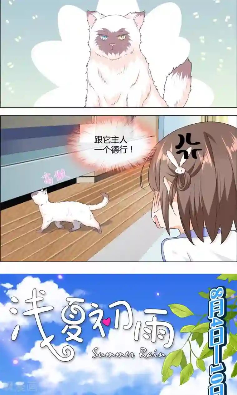 浅夏初雨第3话 劳逸结合