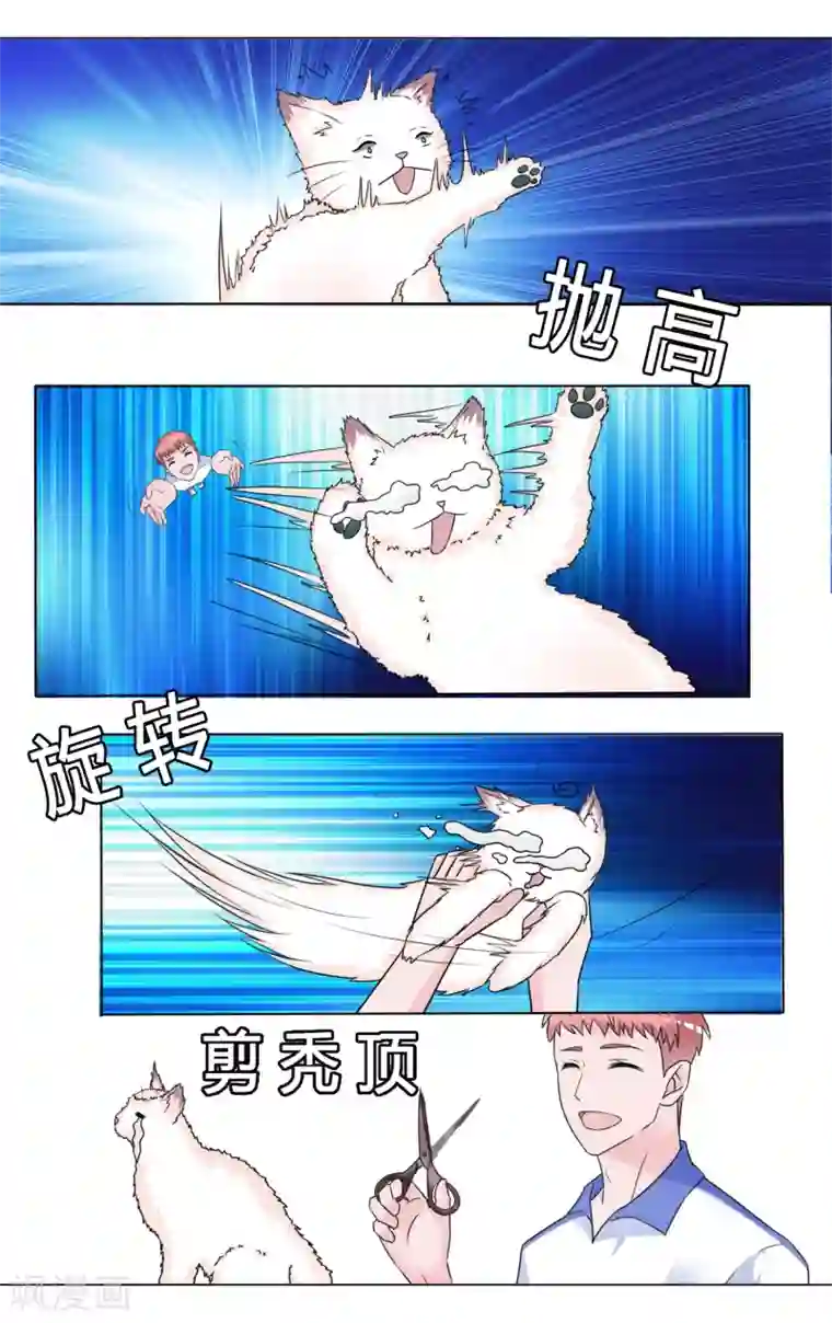 浅夏初雨第32话 可怜的豆豆